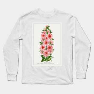 Prunus Triloba Flower lithograph (1900) Long Sleeve T-Shirt